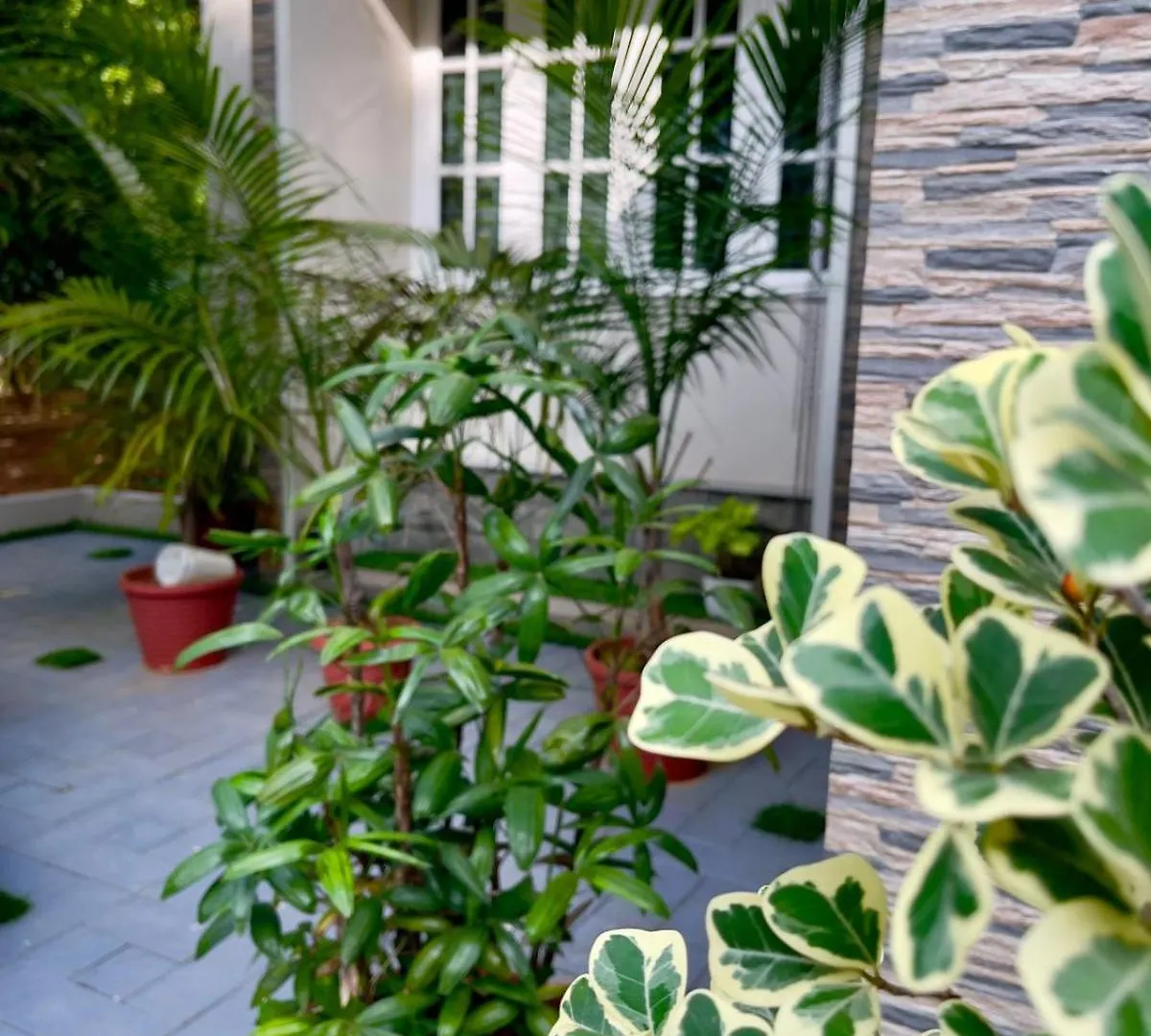 Apartmán Paul'S Nest Angamali Indie